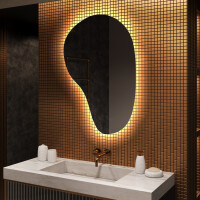 Espejo de baño LED de forma irregular S221