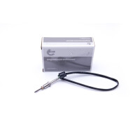 Abgastemperatur Sensor Bmw X3 (E83) 13627809156