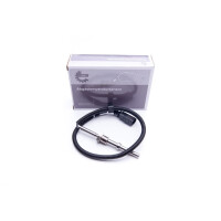 Abgastemperatur Sensor Audi A4 A5 Q5 059906088At