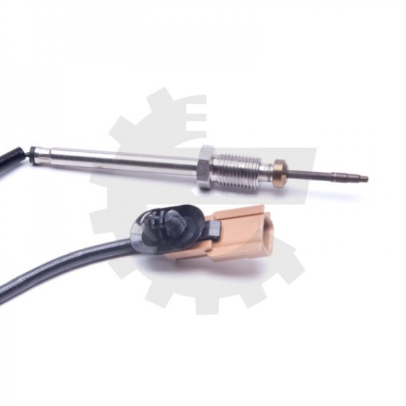 Abgastemperatursensor Renault Clio Iii Kangoo 8200670145