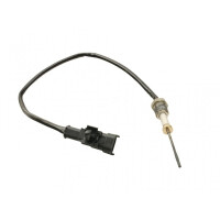 Abgastemperatursensor Citroen Überbrückung 06 1607743780