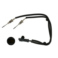 Abgastemperatursensor Fiat Ducato 14 Dpf-Filter 9814103480