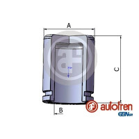 Bremssattelkolben Fiat Ducato Ab 06 Vorne Citroën Jumper/peugeot Boxer Ab 02 [Ø 48]