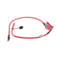 Batteriekabel, Pluspol Bmw 1 F20/f21 2010-,2 F23 2012- 61129253111