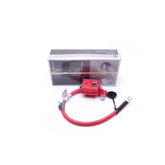 Batteriekabel Plus Bmw 1 3 X1, 61129217031 61129217031