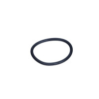 Dichtung Durchflussmesser Citroen/ Pegueot 1007,206,207,3008,307,308,407,5008,partner 1920Nj