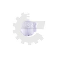 Buchse, Schaltkäfig Iveco 5801260773