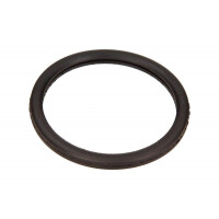 Thermostatdichtung Renault Megane 1,4 16V 00- 7700104139