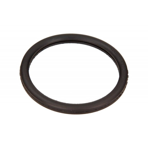 Thermostatdichtung Renault Megane 1,4 16V 00- 7700104139