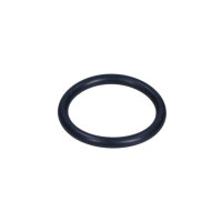 Dichtung Wasserzapfen Bmw 3 F30 7 600 587