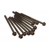 Zylinderkopfschrauben Ford 2,0B Lr025253 (10X)