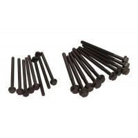 Zylinderkopfschrauben Citroën Ford 2,2 Tdci Jumper, Ranger, Transit 06- U204-10-135 (10X)
