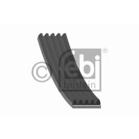 Rippenriegel 5Pk1290 5Pk1290