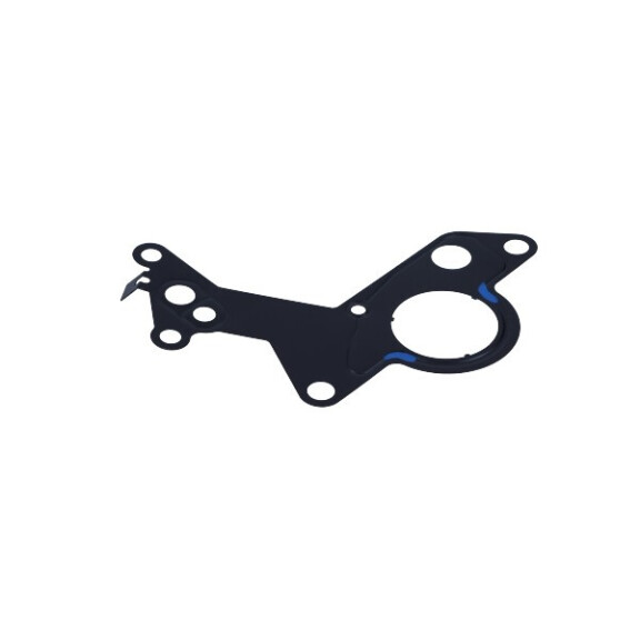 Dichtung Unterdruckpumpe Vw Golf 1,9 Tdi 00- 038 145 215