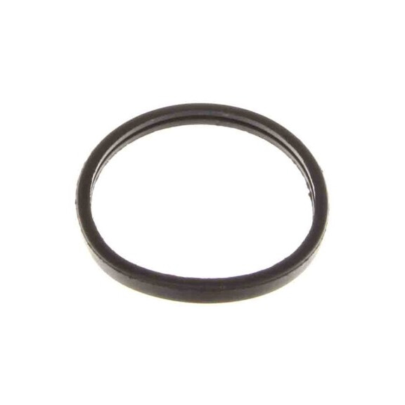 Thermostatdichtung Peugeot 306, 307, 405, 406 1.9D/2.0 Hdi 1340 48
