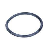 Dichtung Wasserpumpe Vw Golf (98-13) (53X4Mm) 6A121119