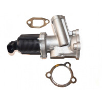 Egr-Ventil Fiat Doblo 00 1.3 Jtd 55192348