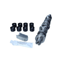 Nockenwellen-Set (Nockenwelle, Stößel, Lagerschalen, Schmierfett)