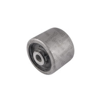 Hintere Buchse Des Vorderen Querlenkers Honda Pilot Yf4 -09 Habplb