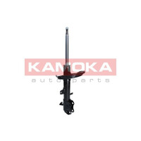 Stossdämpfer Hinten Rechts Lexus 4853048160