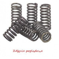 Kupplungsfedern Motorrad Suzuki Gsxr 1100 (93-96) / Gsf 1200 (Naked Bandit) (01-05)