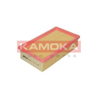 Luftfilter C2485/2