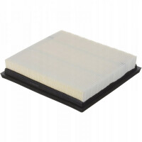 Luftfilter Nissan 370Z 09- 16546Jk20A