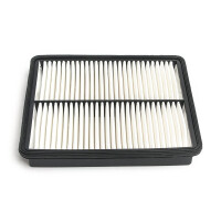 Luftfilter Sorento Iii 2.4I 09.05 - C28010