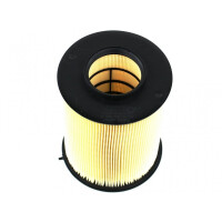 Ford Transit Connect 13 1.6 Tdci Luftfilter 1848220