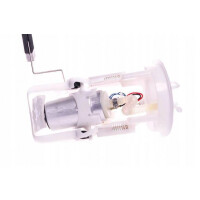 Kraftstoffpumpe Bmw 3 E46 16141184276