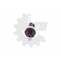 Kraftstoffdrucksensor Citroen C5 Ds5 Sprunghaft 9663305480