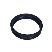 Pal Pumpe Dichtung Vw V10-2562