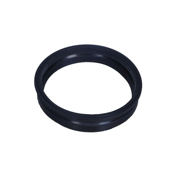 Pal Pumpe Dichtung Vw V10-2562