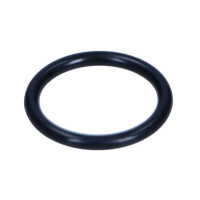 Einspritzdüse Dichtung Opel Astra G 94005872