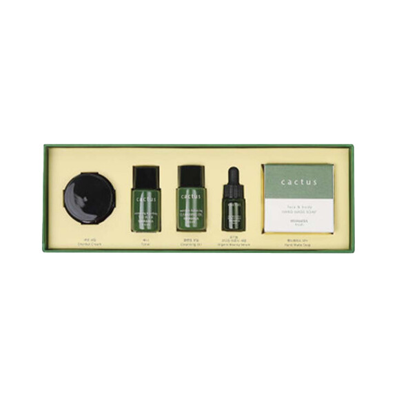 WHAMISA Zestaw 5 mini produktów Cactus Bouncy Mini Kit