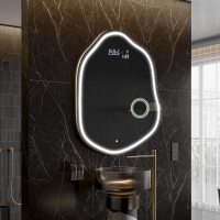 LED Badeværelses spejl med uregelmæssig form E223