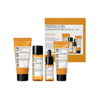 Some By Mi Propolis Trial Kit