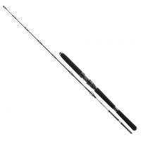 Wędka Daiwa BG Deep Sea 2.20m 150-400g 30-40lb 2pc