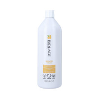 BIOLAGE Smoothproof Shampoo für widerspenstiges Haar 1000 ml