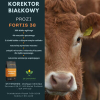 Koncentrat korektor białkowy dla bydła- FORTIS 38, 25kg