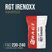 Kukurydza RGT Irenoxx 50tys nasion