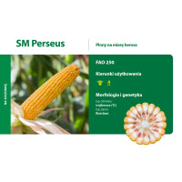 Kukurydza SM PERSEUS + Rhizo Seeds 50tys nasion