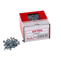 Wkręty uniwersalne ASTRA 2,5x12 - 1000 sztuk