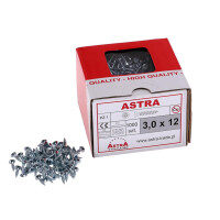 Wkręty uniwersalne ASTRA 3x12 - 1000 sztuk