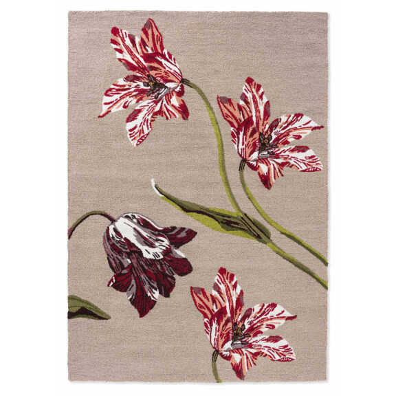 Dywan BOTANICAL TULIP BURGUNDY 455610 beżowy 250x350cm
