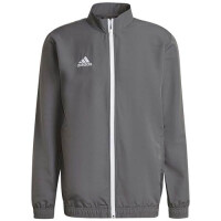 bluza męska adidas entrada 22 presentation h57535 szare