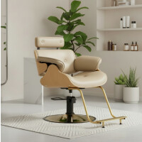 Ankara frisörstol hydraulisk svängbar med fotstöd för frisörsalong frisörstol