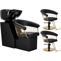 Zoe Gold Set tvättstuga och 2 x hydrauliskt roterande frisörstol till frisörsalong + fotpall, rörlig keramikskål, armatur, batteri, duschmunstycke.