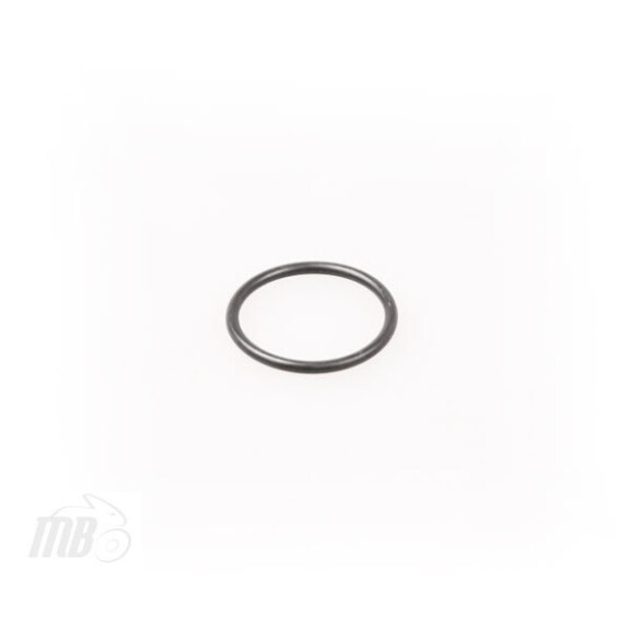 Uszczelka O-ring napinacza łańcuszka rozrządu ZX1000 Ninja ZX-10R 04-05