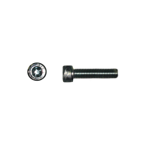 Śruba kolektora M8x35mm